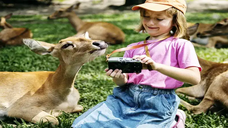 How to Create a Beautiful Yard That Deer Won’t Destroy