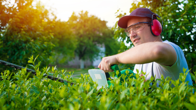 Eco-Friendly Lawn Care