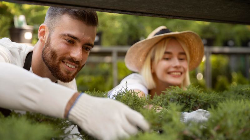 Eco-Friendly Lawn Care