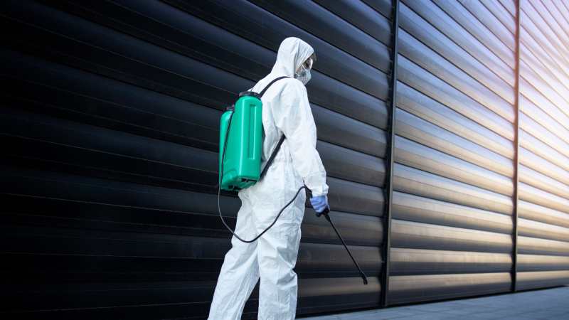 7 Things The Best Pest Control Services Always Get Right