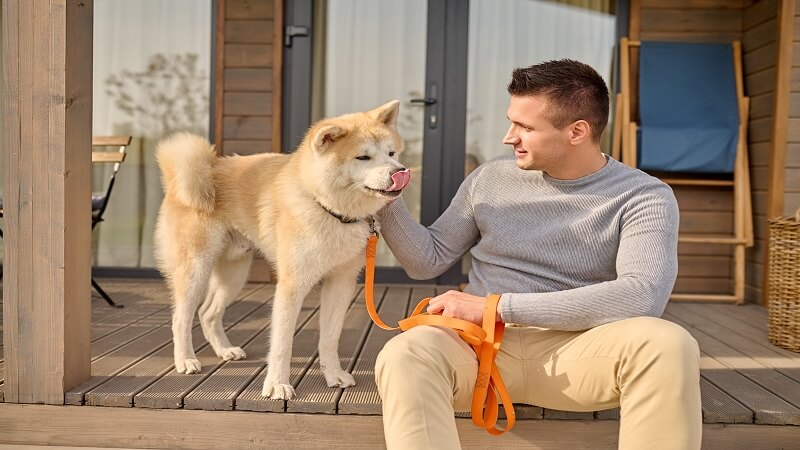 How to Choose a Pet Boarding Facility You Can Trust