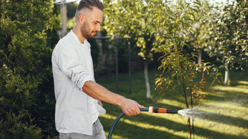 Lawn Treatments
