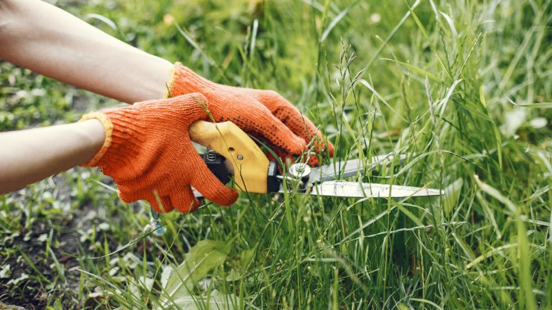 Seasonal Treatments Keep the Lawn Balanced Year-Round